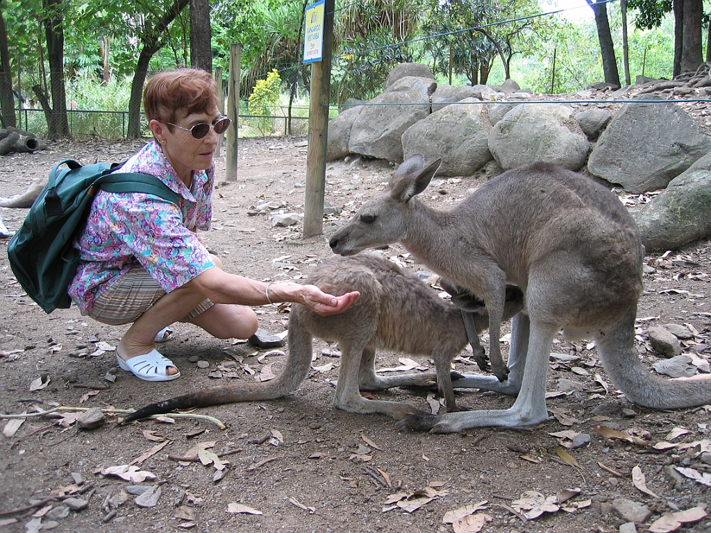 044 Cairns Tropical Zoo.jpg